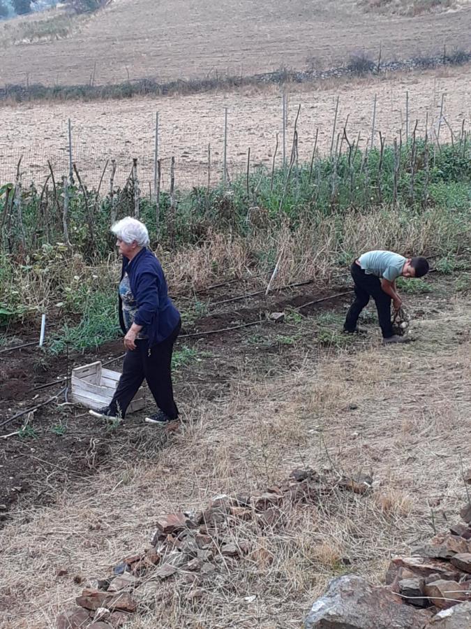 Agriturismo S'Armidda Seùlo Eksteriør bilde